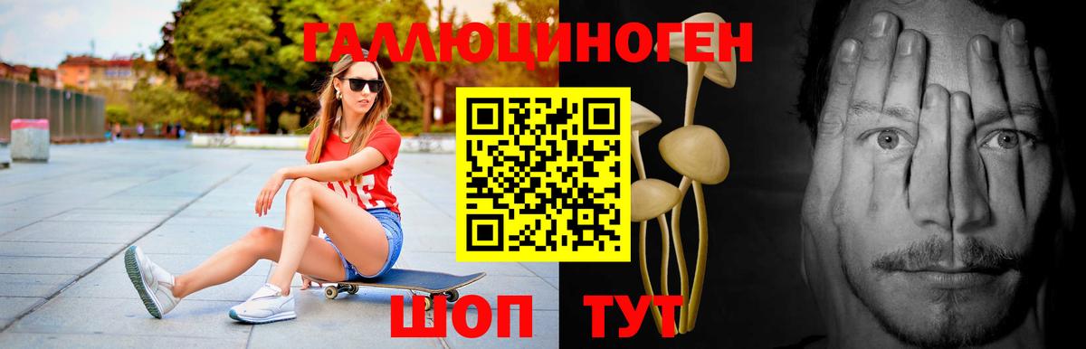Галлюциногенные грибы Cubensis  Галлюциногенные грибы ЛСД  Вход с VPN  Шали 